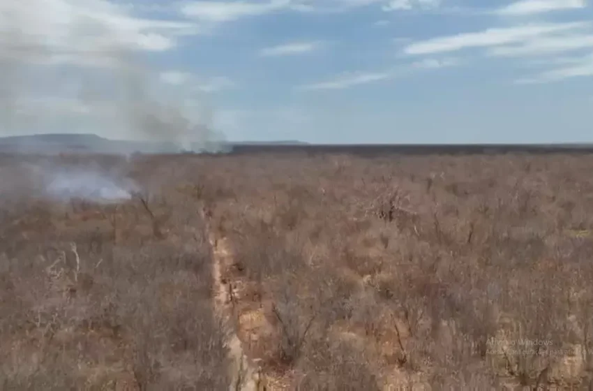  Incêndio no norte da Bahia queima área de mil hectares