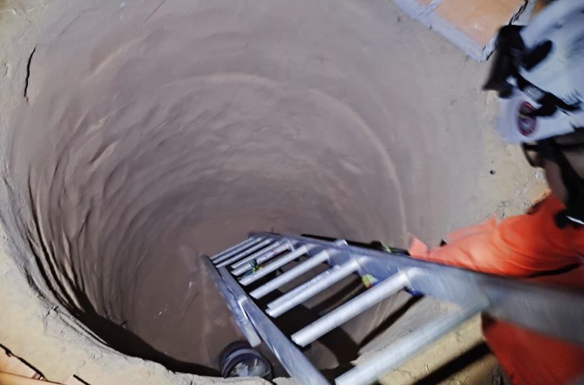  Cachorro é resgatado por bombeiros após cair em fossa de 3 metros no interior da Bahia