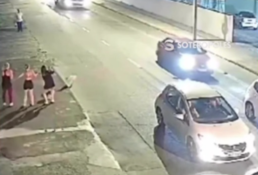  Pitbull salta de carro em movimento e ataca cachorro; veja vídeo