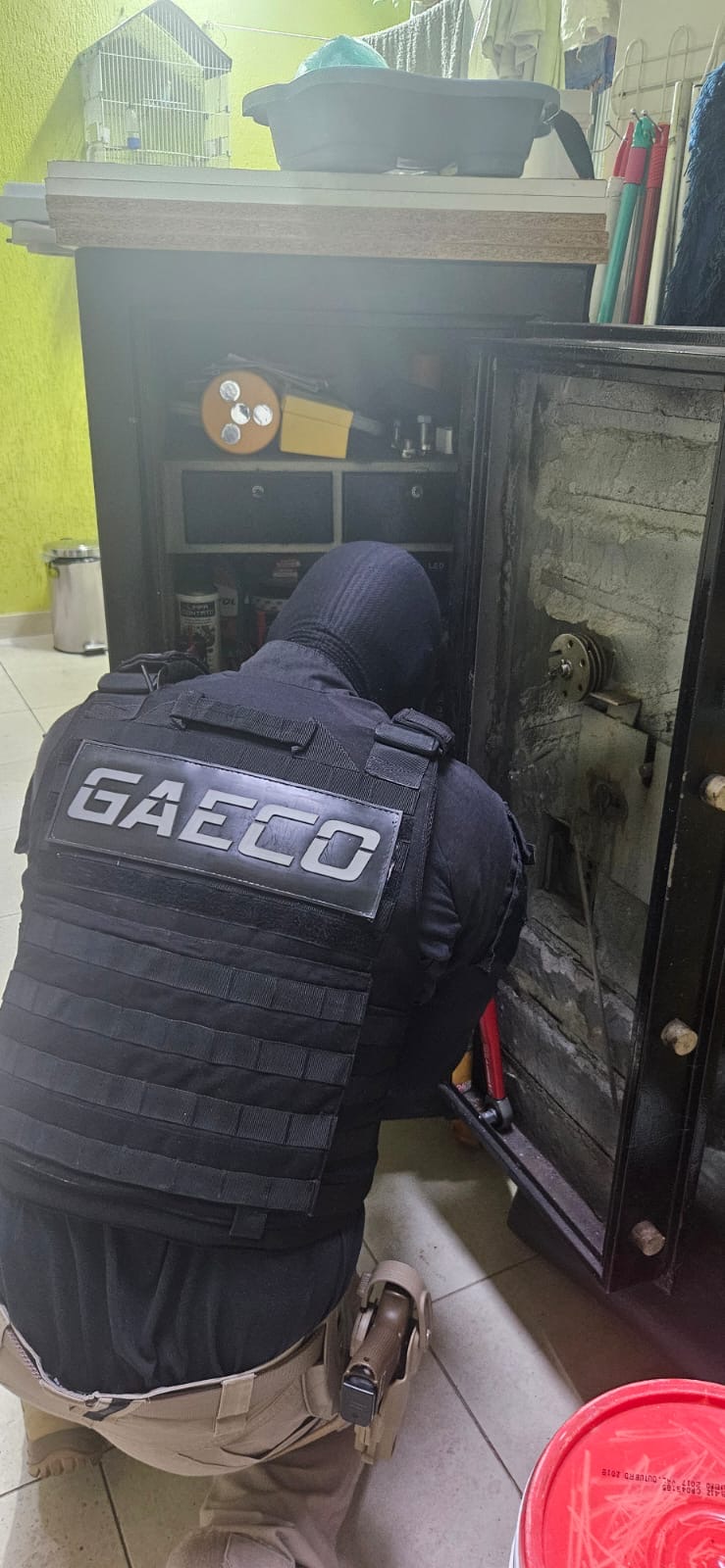 Operação prende oito pessoas e desarticula rede criminosa de grilagem de terras